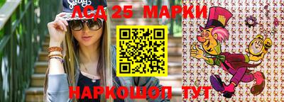 a pvp Моздок