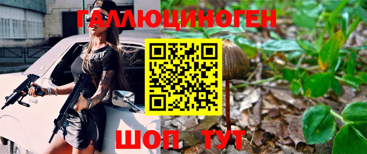 наркота  Вход с VPN  Трёхгорный  Галлюциногенные грибы Psilocybe 