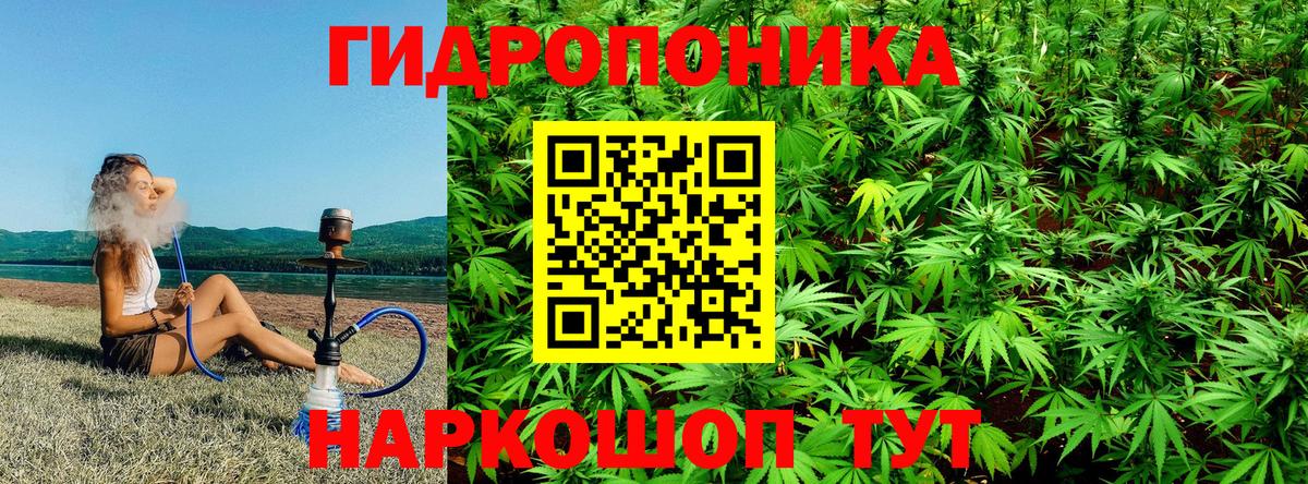 Трёхгорный  Каннабис индика  Конопля OG Kush  Каннабис AK-47  Вход с VPN 